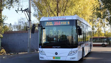 888�ڲ���-����Ϊ��,רҵ����